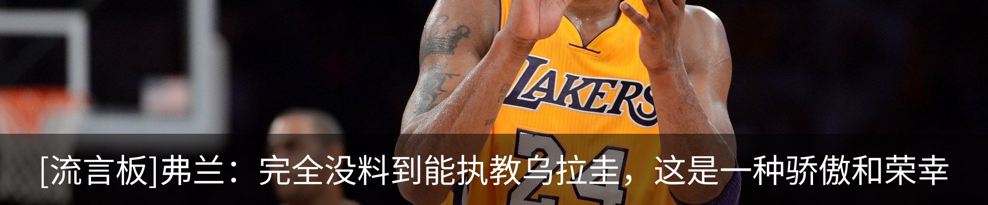 最新动态